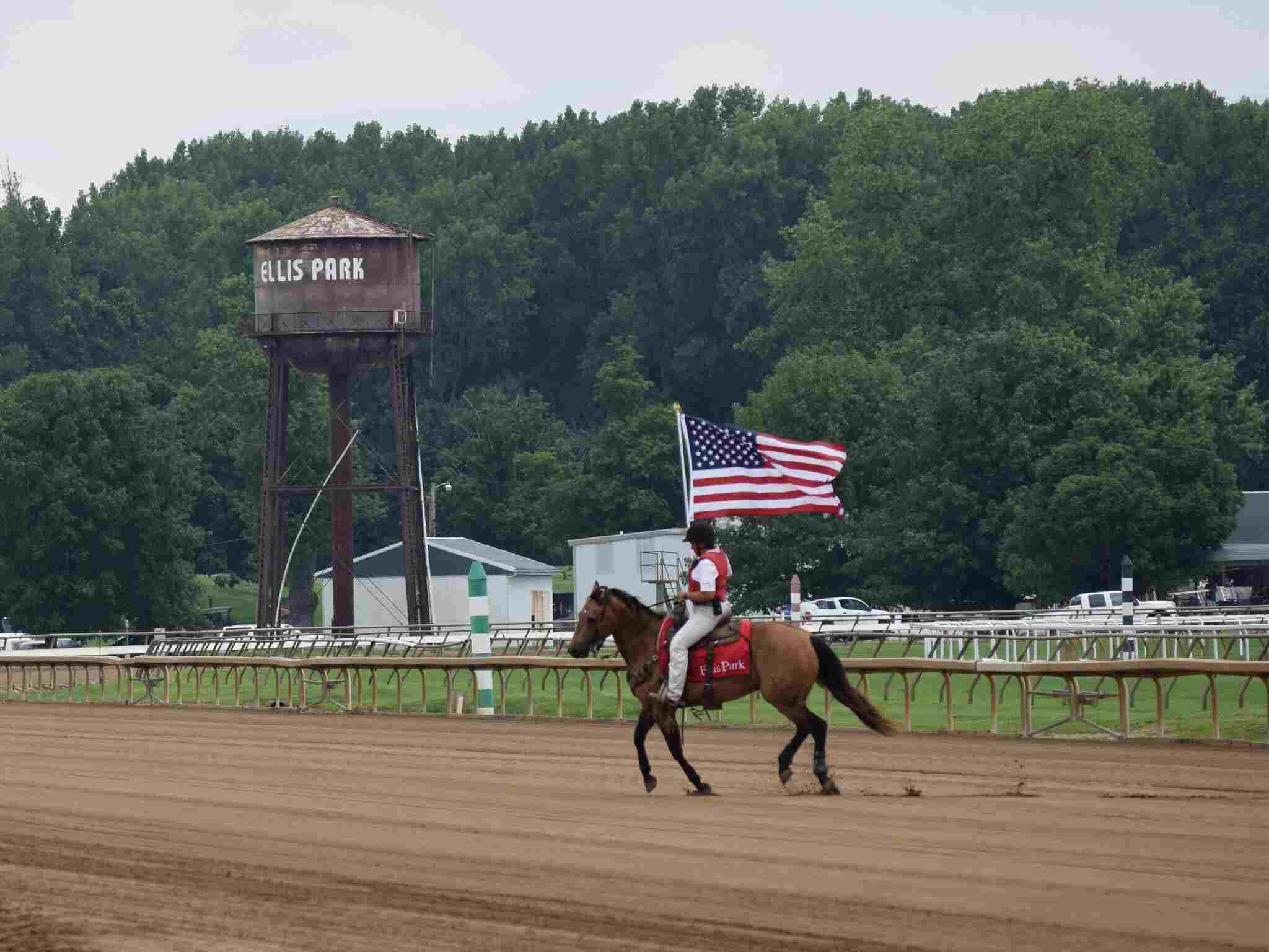 Ellis Park Racing & Gaming American Flag Horse