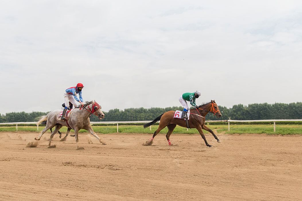 Two horses racing in a meet