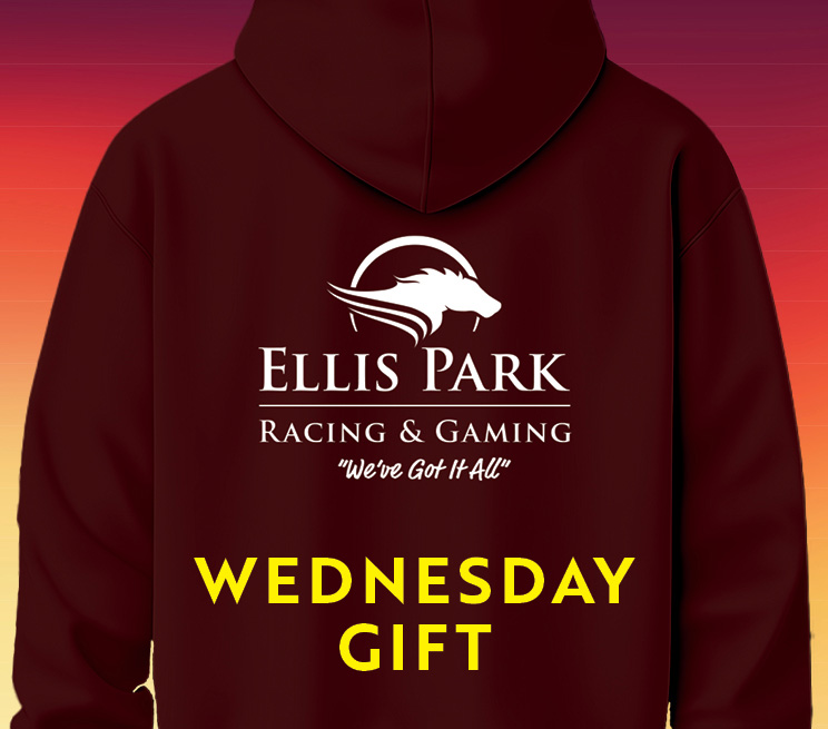 Wednesday Gift Promotion Sweatshirt