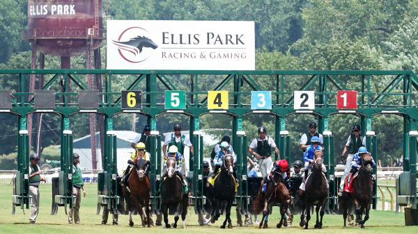 Race starting at Ellis Park Racing & Gaming