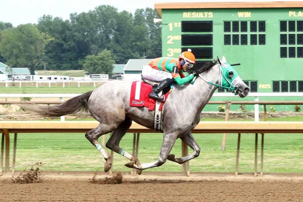 Horse racing in a meet at Ellis Park